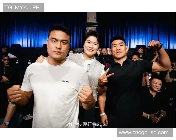 MMA格斗之夜：KO瞬间集锦