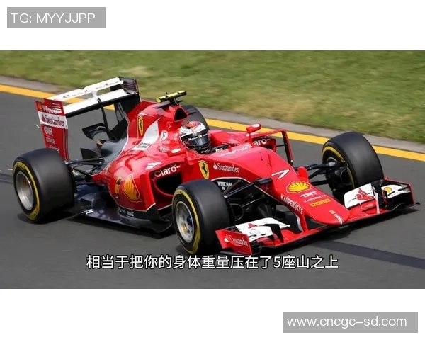 F1赛车手赛前准备与比赛策略制定
